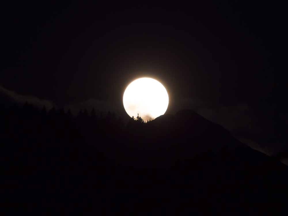 Mond-Waldwipfel-nacht