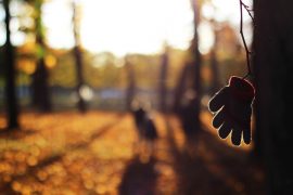 Handschuhe beim Trekking